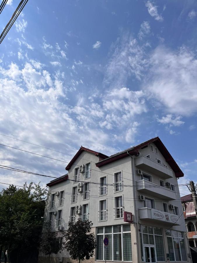 Camere De Inchiriat Elisei Temešvár Exteriér fotografie